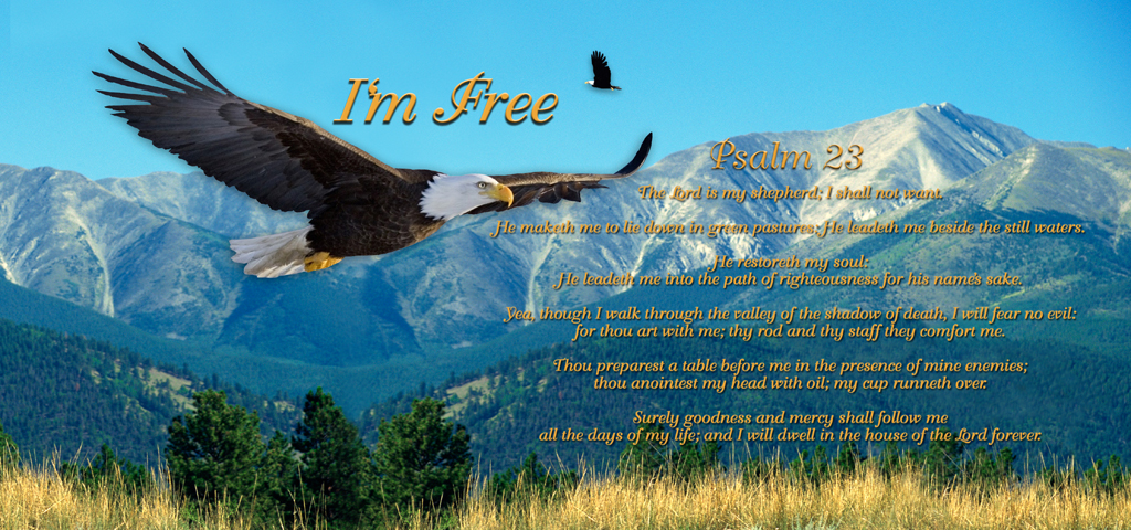 Soaring Eagle Im Free (Psalm 23) PROOF 2